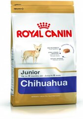 Royal Canin для собак породы чихуахуа Junior , 0,5 кг цена и информация | Сухой корм для собак | hansapost.ee