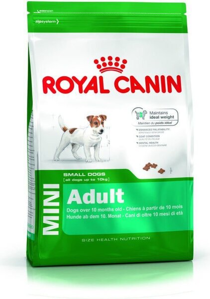 Royal Canin Mini Adult для собак мелких пород, 4 кг цена и информация | Сухой корм для собак | hansapost.ee