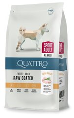 QUATTRO полноценный сухой корм для активных взрослых собак всех пород с большим количеством птицы 3 кг цена и информация | Сухой корм для собак | hansapost.ee