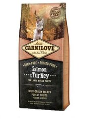Корм для собак Carni Love Salmon & Turkey Puppy Large Breed, 12 кг цена и информация | Сухой корм для собак | hansapost.ee