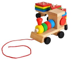 Puidust rong-sorteerija koos klotsidega hind ja info | Arendavad laste mänguasjad üle 3.a | hansapost.ee