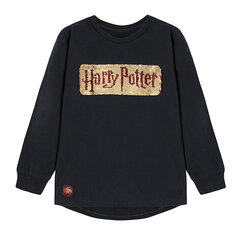 Cool Club pusa poistele Harry Potter, LCB2323003 hind ja info | Särgid poistele | hansapost.ee