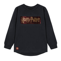 Cool Club pusa poistele Harry Potter, LCB2323003 hind ja info | Särgid poistele | hansapost.ee