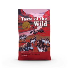 Сухой корм для собак с мясом кабана Taste of the Wild Southwest Canyon, 2 кг цена и информация | Сухой корм для собак | hansapost.ee