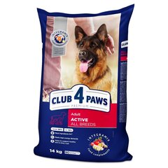 Club 4 Paws - Aktiivsetele koertele цена и информация | Сухой корм для собак | hansapost.ee