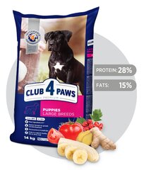 Club 4 Paws Премиум полноценный сухой корм для собак Щенки большие с курицей, 14.0 кг цена и информация | Сухой корм для собак | hansapost.ee