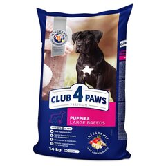Club 4 Paws Премиум полноценный сухой корм для собак Щенки большие с курицей, 14.0 кг цена и информация | Сухой корм для собак | hansapost.ee