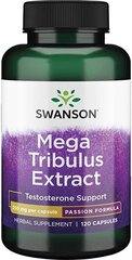 Пищевая добавка Swanson Tribulus Extract (якорцы стелющиеся) в капсулах для мужчин, N120 цена и информация | Витамины и добавки для хорошего самочувствия | hansapost.ee