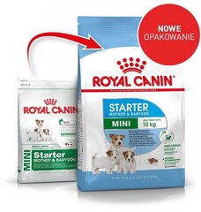 Kuivtoit tiinetele ja imetavatele koertele ning kutsikatele kuni 2 kuud Royal Canin, 1 kg цена и информация | Сухой корм для собак | hansapost.ee