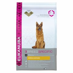 Eukanuba сухой корм для немецких овчарок, 12 кг цена и информация | Сухой корм для собак | hansapost.ee