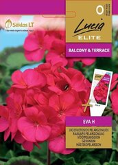 Пеларгония зональная EVA H цена и информация | Семена цветов | hansapost.ee