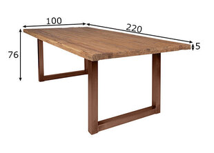 Söögilaud Tische, 220x100 цена и информация | Комплекты мебели для столовой | hansapost.ee