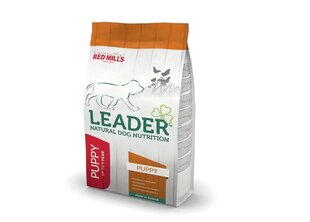 LEADER полноценный корм для щенков крупных пород, курица, 12 кг цена и информация | Сухой корм для собак | hansapost.ee