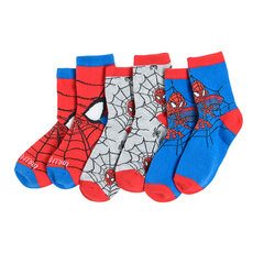 Poiste sokid Cool Club Ämblikmees (Spider-man), 3 paari, LHB2312040-00 hind ja info | Sukkpüksid ja sokid poistele | hansapost.ee