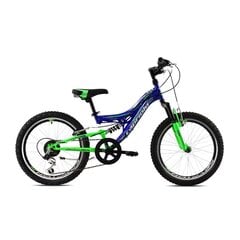Noorukite jalgratas Capriolo CTX 200 sinine-roheline 20 raam 11 hind ja info | Jalgrattad | hansapost.ee