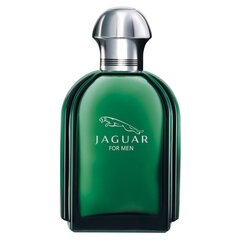 Jaguar Jaguar EDT для мужчин 100 мл цена и информация | Мужские духи | hansapost.ee