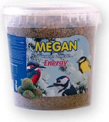 Жирный корм для зимующих птиц Megan, 1 л/730 г цена и информация | Корм для птиц | hansapost.ee