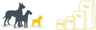 Fitmin Fitmin Mini Puppy - 15 кг цена и информация | Сухой корм для собак | hansapost.ee