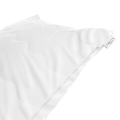 AmeliaHome подушка Reve, 45x45 см цена и информация | Подушечки | hansapost.ee