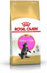 Royal Canin Meini tõugu kassipoegadele 4 kg