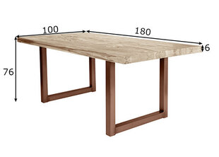 Обеденный стол Tische 100x180 цена и информация | Комплекты мебели для столовой | hansapost.ee