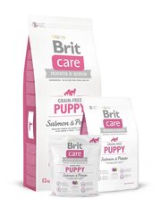 Сухой корм для щенков собак крупных пород Brit Care Puppy Salmon&Potato с лососем и картофелем, беззерновое, 12кг цена и информация | Сухой корм для собак | hansapost.ee