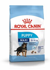 Royal Canin укрепление иммунитета Maxi junior, 1 kg цена и информация | Сухой корм для собак | hansapost.ee