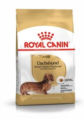 Сухой корм ROYAL CANIN для взрослых такс Dachshund adult, 7.5 кг цена и информация | Сухой корм для собак | hansapost.ee