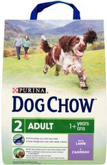 Сухой корм для собак Dog Chow Adult с бараниной 2,5 кг цена и информация | Сухой корм для собак | hansapost.ee