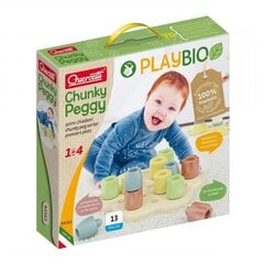 Mosaiik Quercetti Play Bio Chunky Peggy 84162, 13 osa hind ja info | Arendavad laste mänguasjad üle 3.a | hansapost.ee