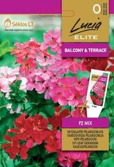 Пеларгония F2 Mix цена и информация | Семена цветов | hansapost.ee