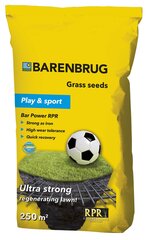 Смесь семян для газона Barpower RPR 5 кг цена и информация | Газонные смеси | hansapost.ee
