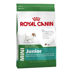 Royal Canin Mini Junior 8 кг цена и информация | Сухой корм для собак | hansapost.ee