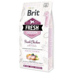 Brit Fresh noorte kutsikate kuivtoit kana ja kartulitega, 12 kg цена и информация | Сухой корм для собак | hansapost.ee