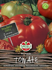 Tomat Marmande цена и информация | Семена овощей, ягод | hansapost.ee