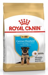 Royal Canin для щенков немецких овчарок German Shepherd junior, 12 кг цена и информация | Сухой корм для собак | hansapost.ee