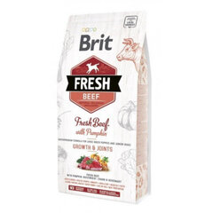 Brit Fresh kuivtoit suur tõugu kutsikatele veiseliha ja kõrvitsaga, 2,5 kg цена и информация | Сухой корм для собак | hansapost.ee
